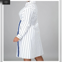 Zee Striped Dress